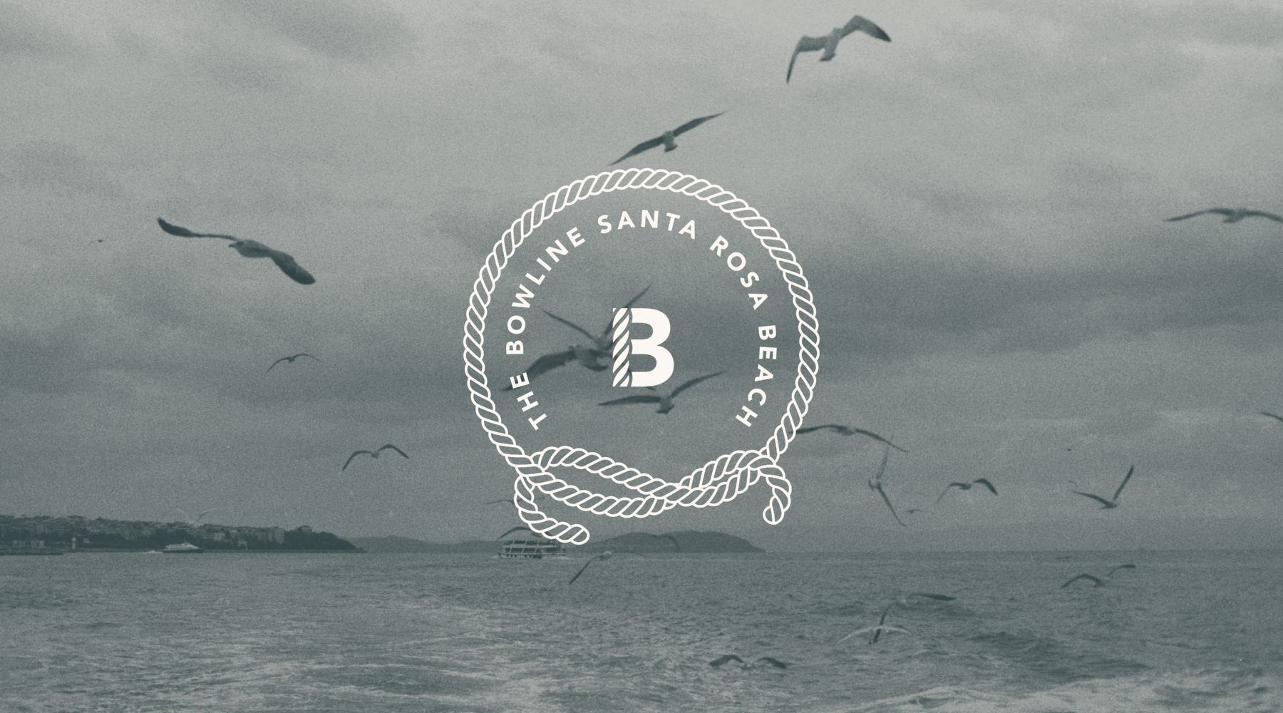 birds flying over an ocean and a icon on top